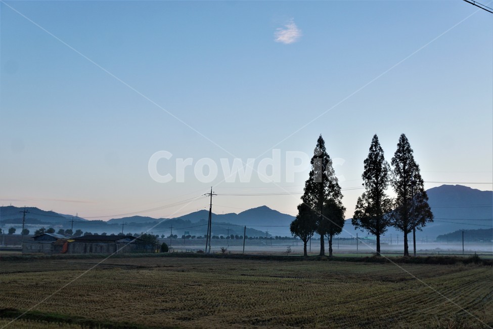 가을,아침,안개,산,자연,하늘,논,전봇대,tree,sky,nature,나무,plant,풍경,autumn,morning,mountain