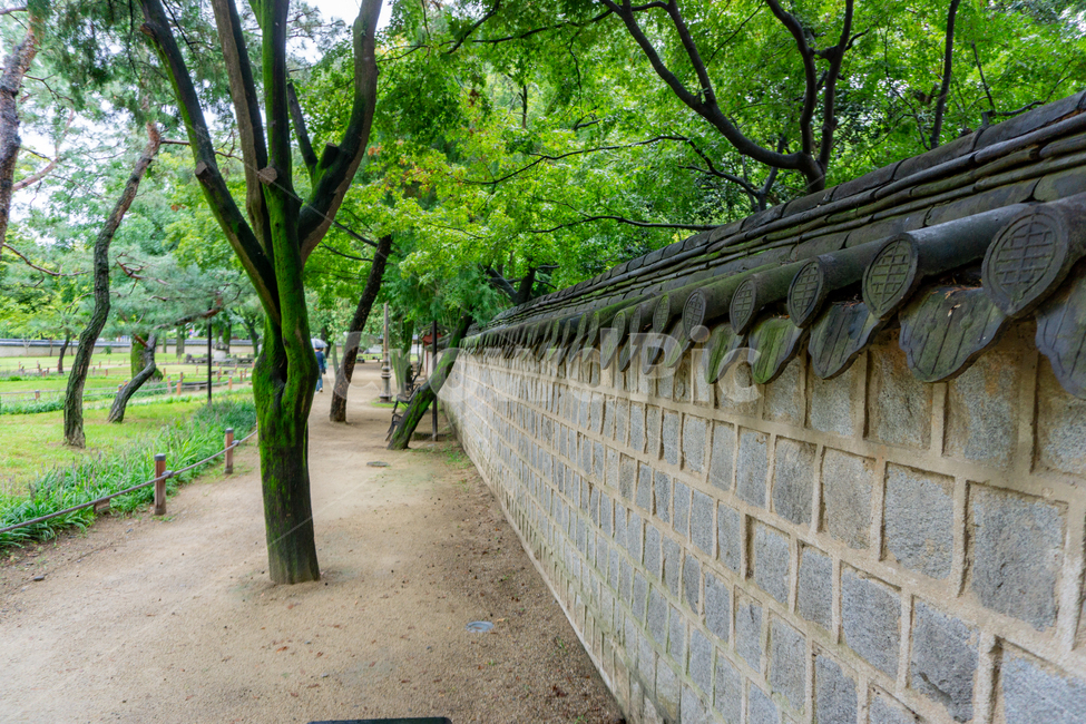 경기전,돌담,담,울타리,돌벽,stone,wall,fence,korea,traditional,architecture,전통,건축,여름,돌담길,담벼락,담벽,전주,국내,한국,tour,역사,이성계,조선,문화재,유적,문화유산,사적,tree,나무,plant,식물,한옥마을,joseon,흐린날씨,비,rain,rainy,정원,garden