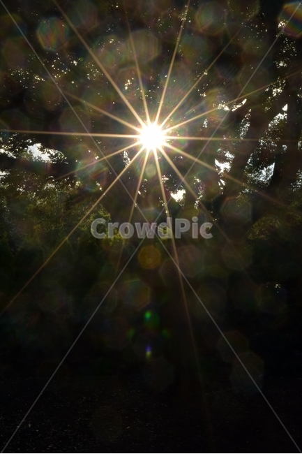 light,flare,플레어,빛,자연,햇빛