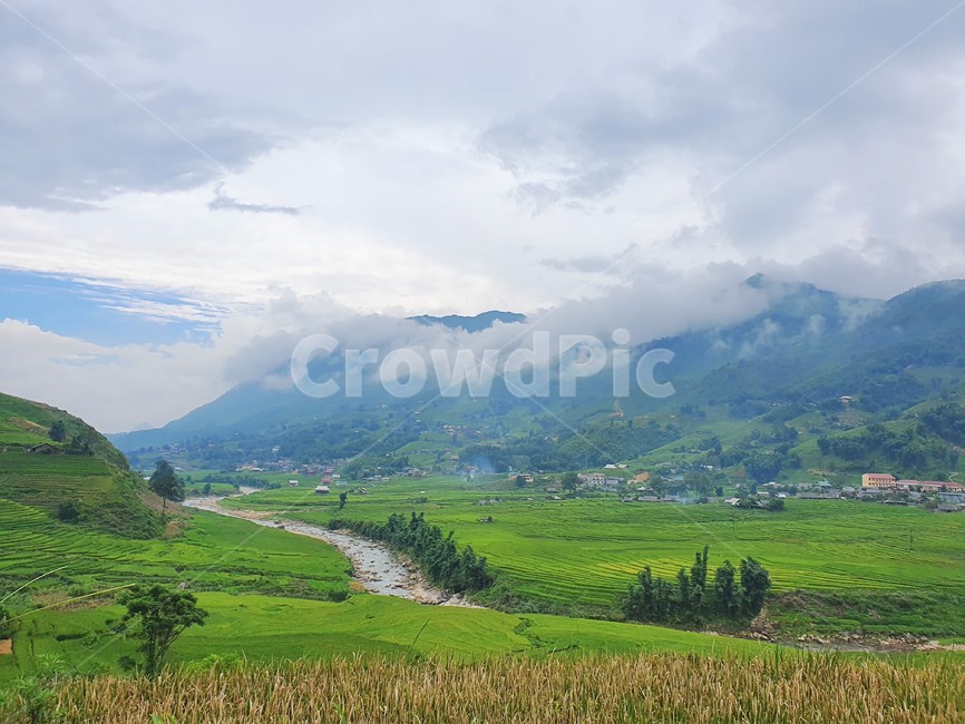 자연,들,경치,풍경,베트남,사파,밭,고산지대,nature,outdoors,자연,풍경,nature,landscape,옥외