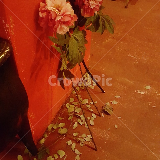 꽃,빨강,red,드라이플라워,flower