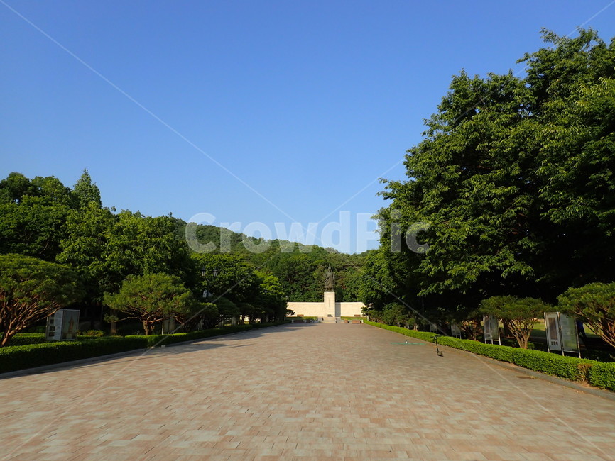 아산신정호,나무,자연,힐링,햇빛,휴식,수목,여유,차분함,안정,신정호