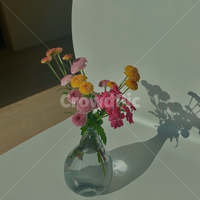 식물,병장식,꽃꽂이,항아리,꽃,미술,장식,plant,pottery,vase,flowerarrangement,jar,flower,art,blossom,ornament