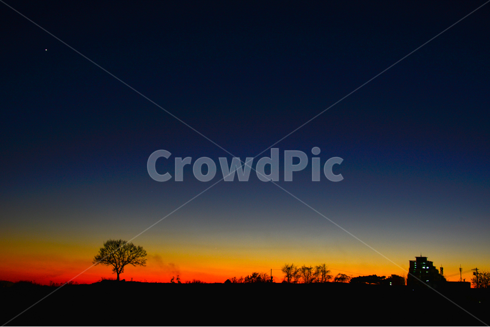 야경,일몰,석양,풍경,왕따나무,nature,자연,outdoors,옥외,sky,하늘,red sky,붉은 하늘,dusk,황혼,dawn,새벽,sunset