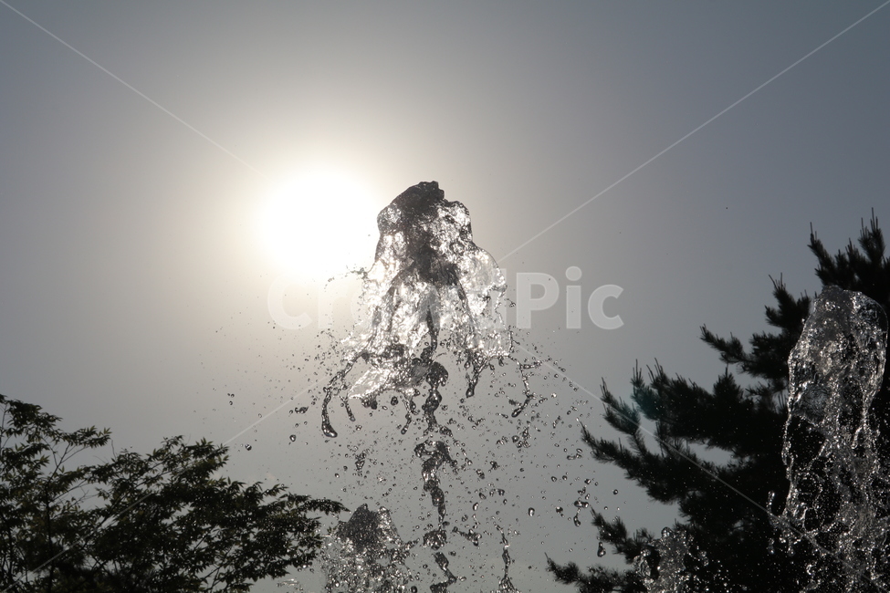 분수,역광,시원함,분출,물,water