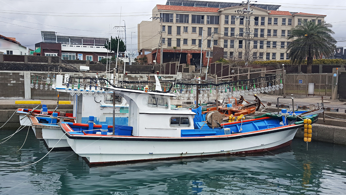 어선,제주항구,정주항,항구풍경,보트,배,boat,선박,교통,고기잡이배,port,산업,industry,industrial,어업,fishery,fishing industry