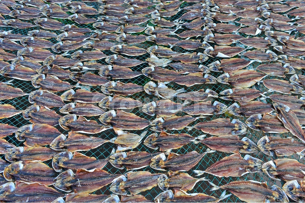 건어물,해물,바닷가,어촌,건조,갈치,조기,수산물,해산물,식재료,시장,수산물,해산물,fishery products,seafood