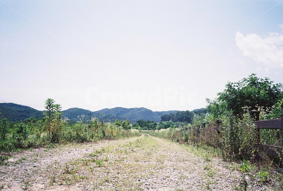 들판,자연,하늘,토양,시골,자연,풍경,nature,landscape,gravel,자갈,road,도로,dirt road,흙길,ground,바닥,outdoors,옥외