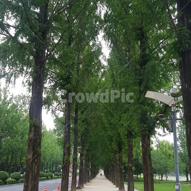 힐링,arbour,정원,garden,outdoors,힐링길