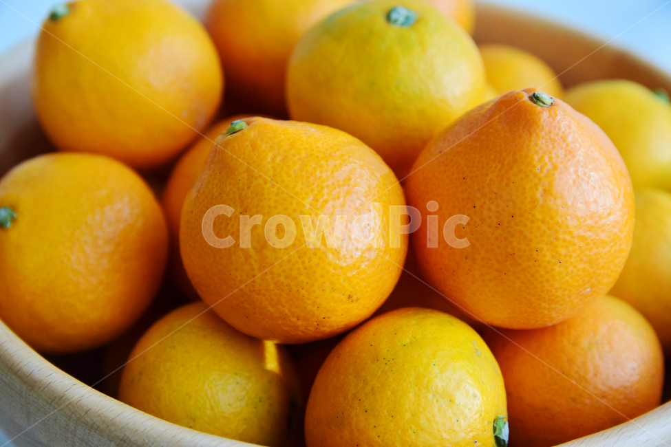 귤,감귤,과일,겨울과일,볼,과일볼,감귤류과일,식재료,음식,주황색,orange,citrusfruit,fruit,food,bowl,fruitbowl,tangerine,음식,식재료,요리,food,cook,meal,dishes,food reserves,과일,열매,fruit