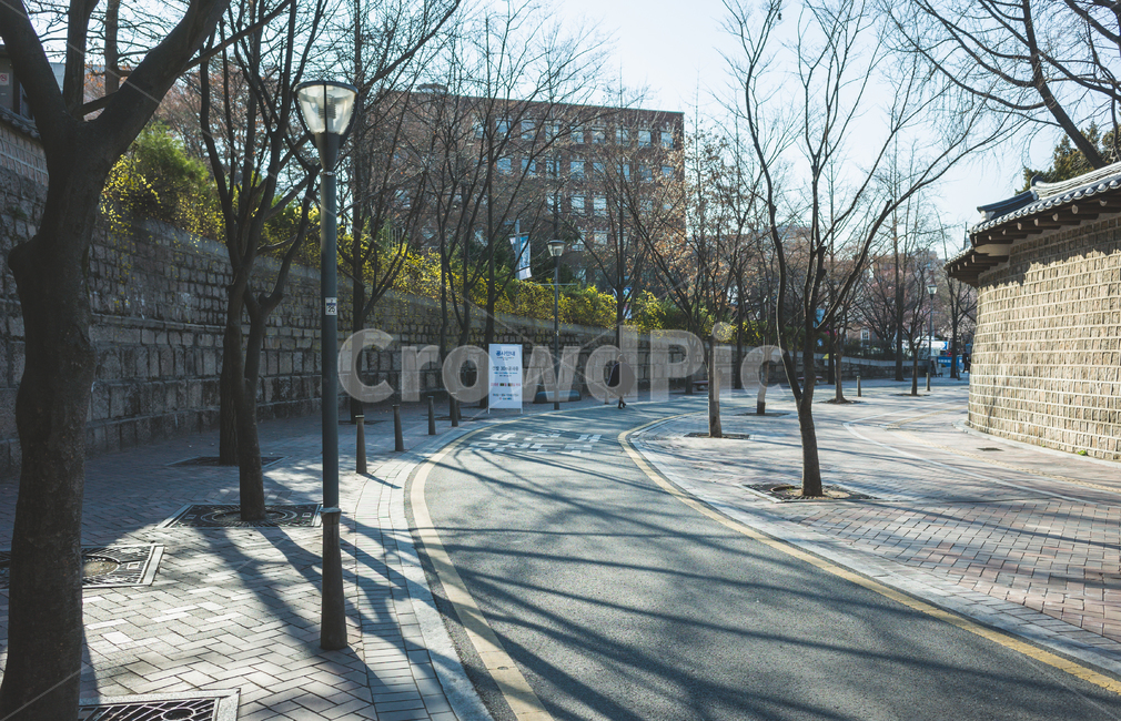 서울,정동길,덕수궁돌담길,덕수궁,봄,계절,4월,꽃,화창한,나무,산책길,도시,풍경,담벼락,감성,서울명소,한국전통,한국문화,한국,한국적,데이트코스,seoul,landscape,season,nature,trees,spring,april,korean,traditional,koreanculture,exterior,building,structure,architecture