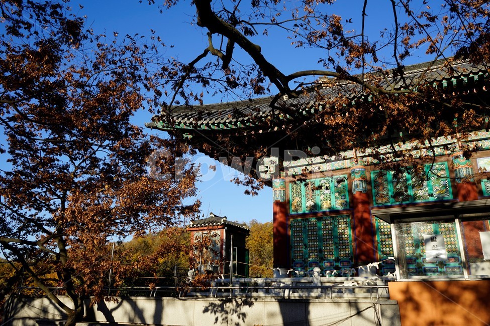 봉원사,태고종,삼천불전,불교건축물,건축,한국전통,한국문화,korean traditional,korean culture,종교,신앙,religion,belief,faith