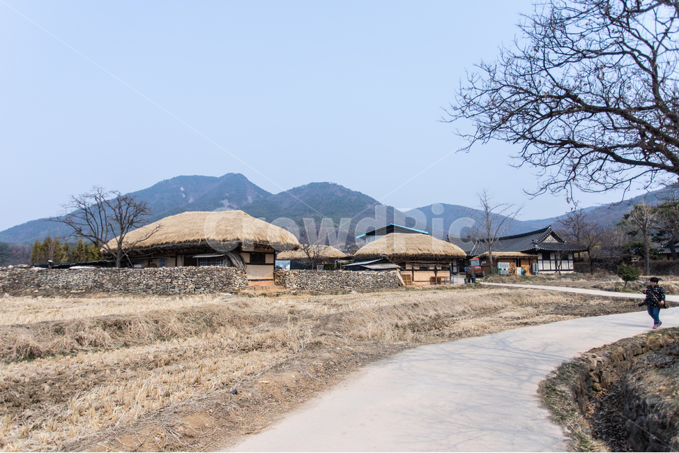 시골,농촌,초가집,봄,옛날집,시골,마을,풍경,landscape,country,rural,town,한국전통,한국문화,korean traditional,korean culture