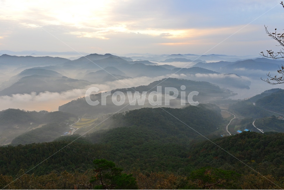 임실,국사봉,국사봉일출,여명,아침,해돋이,운해,소나무,nature,자연,mountain,산,mountainrange,산맥,outdoors,옥외,자연,풍경,nature,landscape