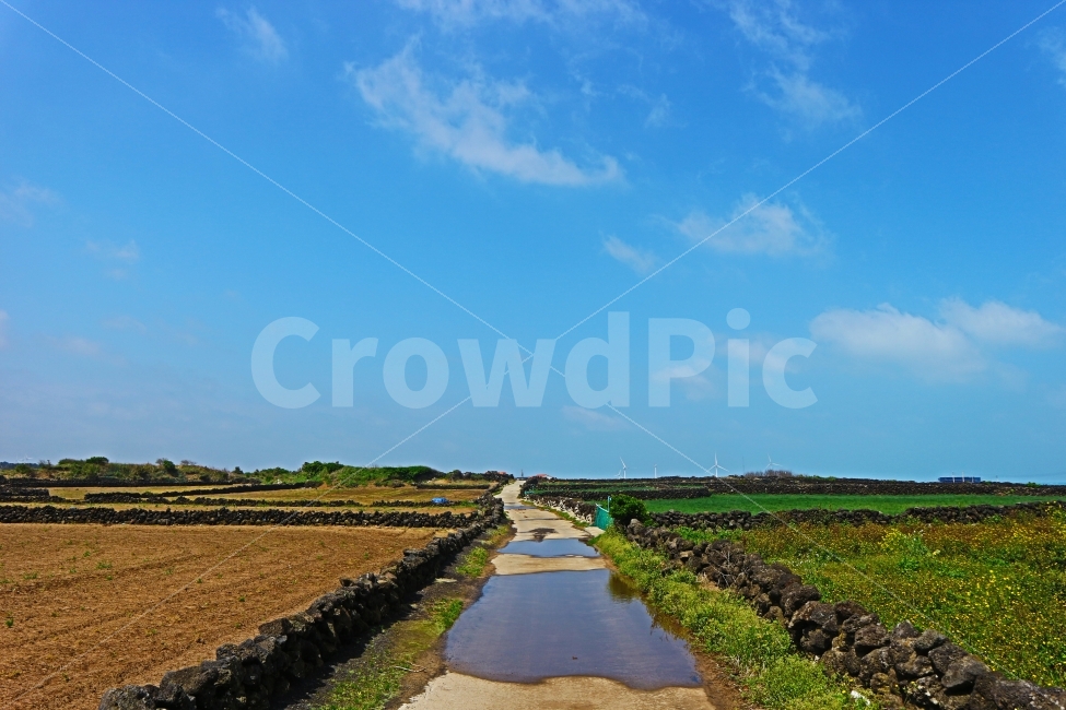 제주도,월정리,올레길,풍경,돌담,하늘,sky,jeju,길,여행,trevel,제주,자연,풍경,nature,landscape,제주도,jeju,jeju island,ditch,도랑