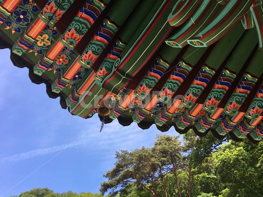 한국,절,사원,지붕,처마,하늘,맑은,종교,차분한,시원한,맑은하늘,한국전통,한국문화,korean traditional,korean culture