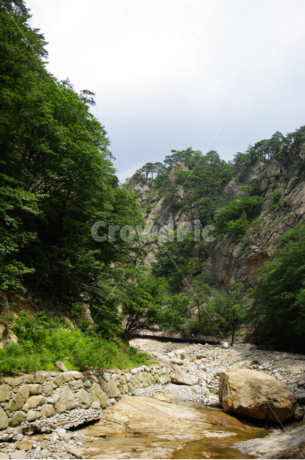 산,계곡,바위,암석,풍경,나무,설악산,자연,풍경,nature,landscape,outdoors,옥외