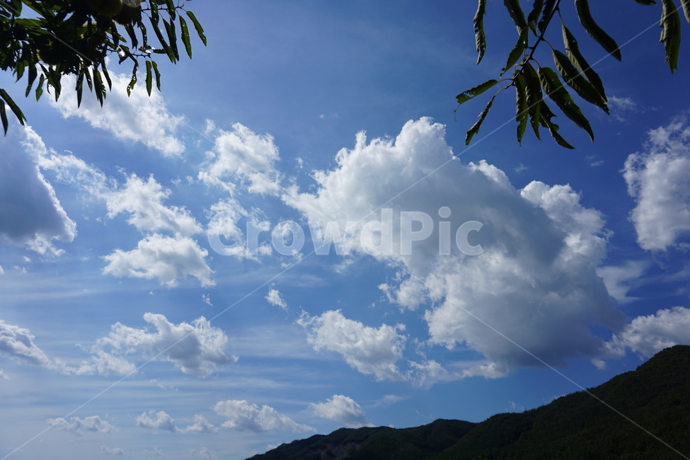 뭉게구름,구름,하늘,맑은날씨,sky,가을하늘,자연,풍경,nature,landscape,outdoors,옥외,azure sky,푸른 하늘