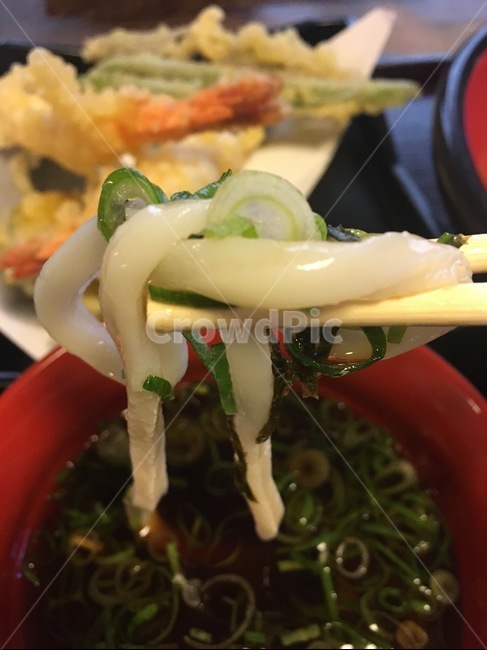 food,noodle,우동,냉우동,음식