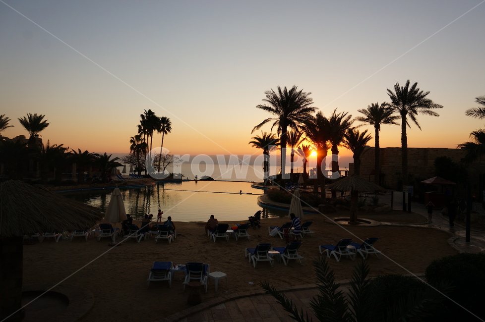 중동,사해,바다,풍경,아랍,요르단,jordan,deadsea,자연,풍경,nature,landscape,해외,외국,세계,foreign,oversea,world,세계자연풍경,해외자연풍경,외국자연풍경,world nature landscape,사람들,대중,군중,other people,crowd,휴식,힐링,rest,relaxation,healing,tree,나무,palm tree,야자수,plant,식물