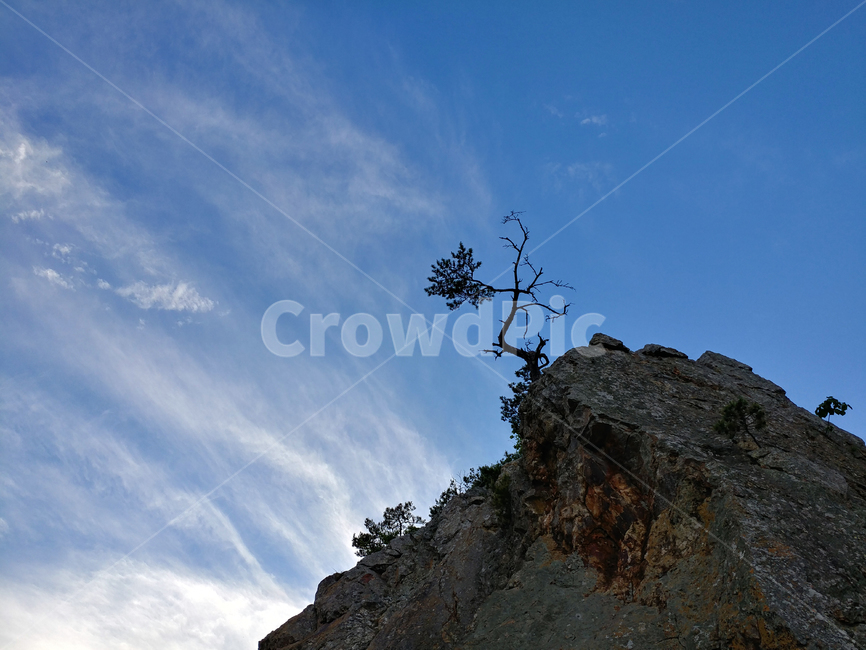 풍경,하늘,구름,나무,돌,돌산,절벽,긍지,감정,자연,풍경,nature,landscape,outdoors,옥외,cliff,낭떠러지