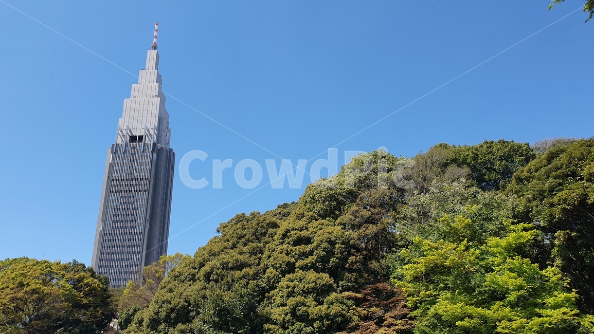 공원,신주쿠,일본,신주쿠공원,언어의정원,japan,park