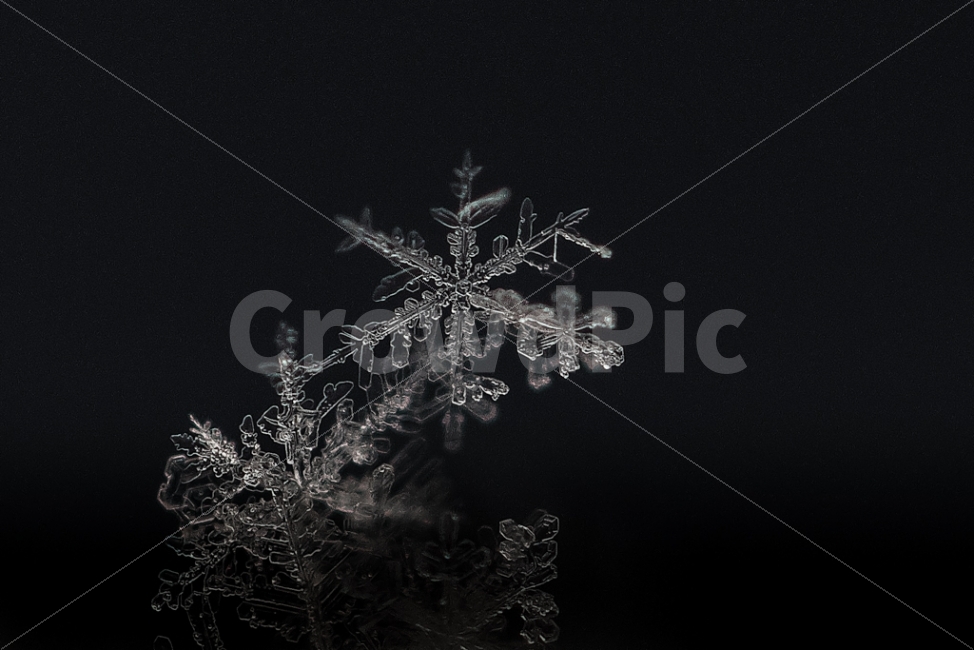 자연,풍경,겨울,눈,눈결정,접사,nature,landscape,winter,snow,crystal,macro,겨울,계절,winter,season,흑백,모노톤,monochrome,black and white