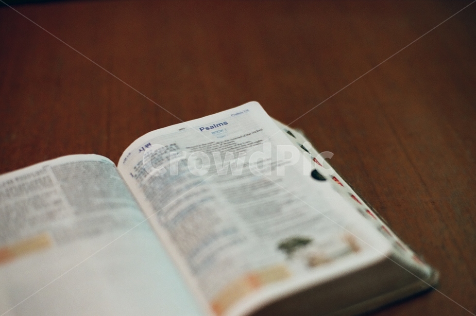 성경책,책,book,text,본문,기독교,크리스천,종교,신앙,religion,belief,faith