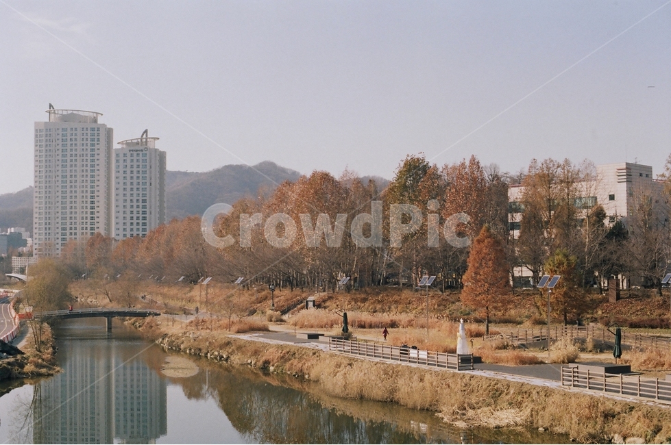 자연,자연풍경,양재천,가을,양재,서울,필름,필름감성,감성