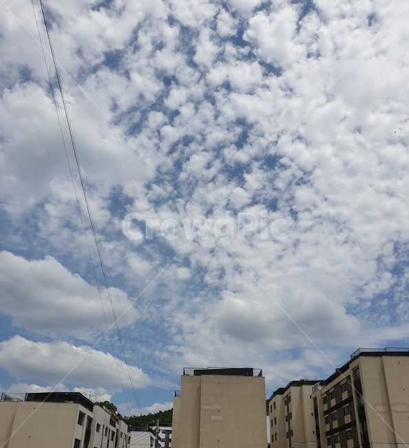 weather,날씨,nature,자연,구름,cloud,하늘,sky,맑음,하늘사진,맑은날,감성,감성사진,색감,느낌,feeling,옥외,outdoors,파란색,흰색,낮,분위기,특이한구름,푸른하늘,color