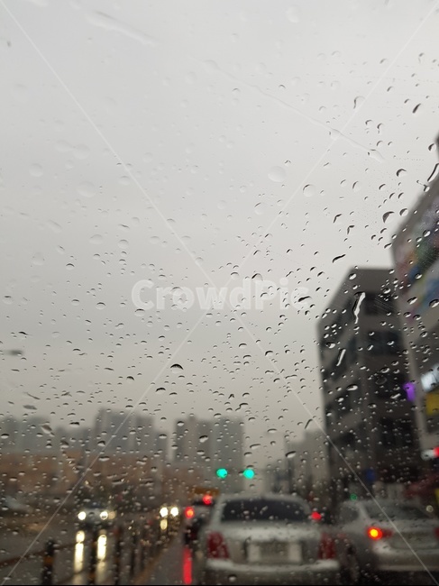 자동차,교통,차량,비,비오는거리,비,비오는날,rain,rainy
