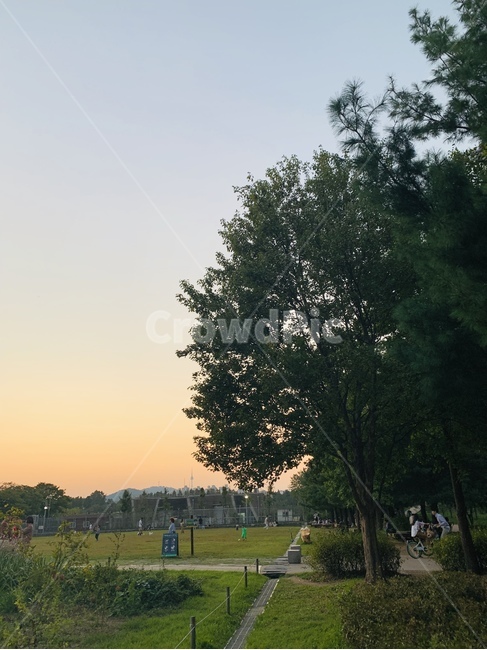 옥외,nature,자연,grass,green,잔디,식물,tree,나무,노을,풍경,배경화면,자연,풍경,nature,landscape,outdoors,plant