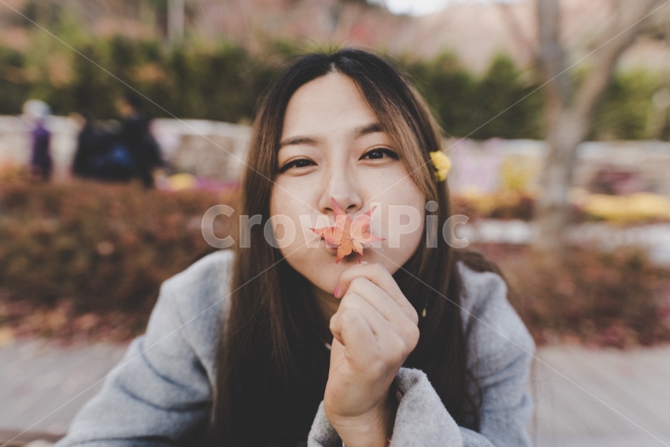 가을,낙엽,인물,여자,단풍,꽃,portrait,flower,girl,가을,계절,fall,autumn,season,사람,인물,인간,human,person,얼굴표정,facial expression,face,여성,여자,woman,female,lady,감정표현,기분,feeling,emotion