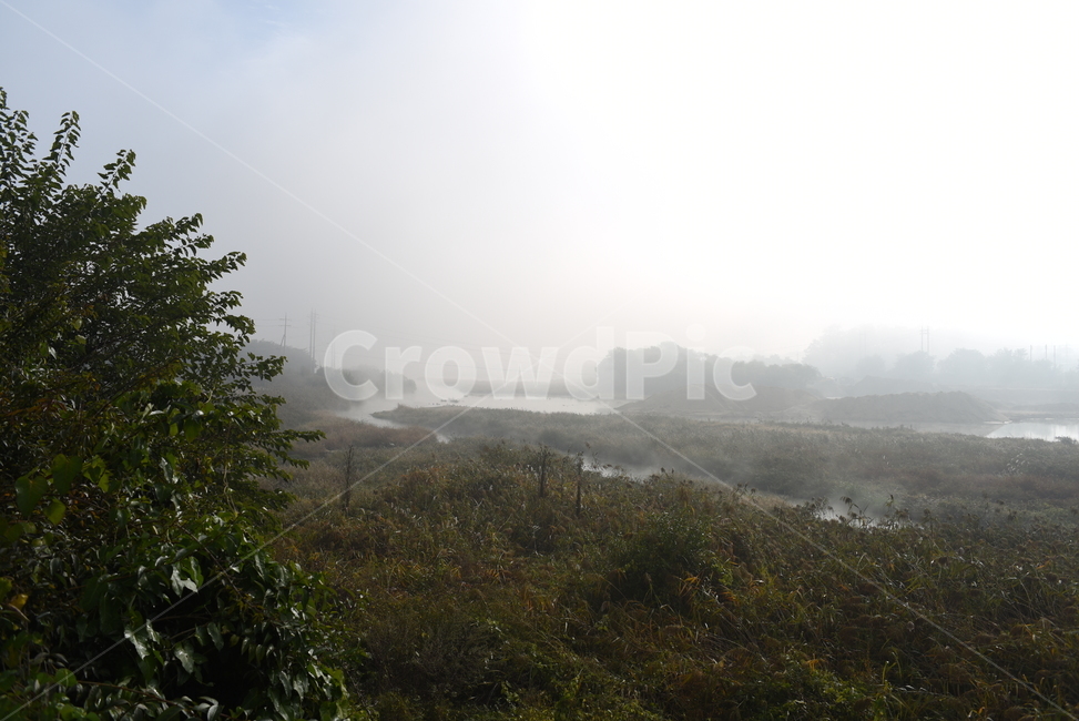 nature,자연,fog,안개,가을,강,풍경,자연,풍경,nature,landscape