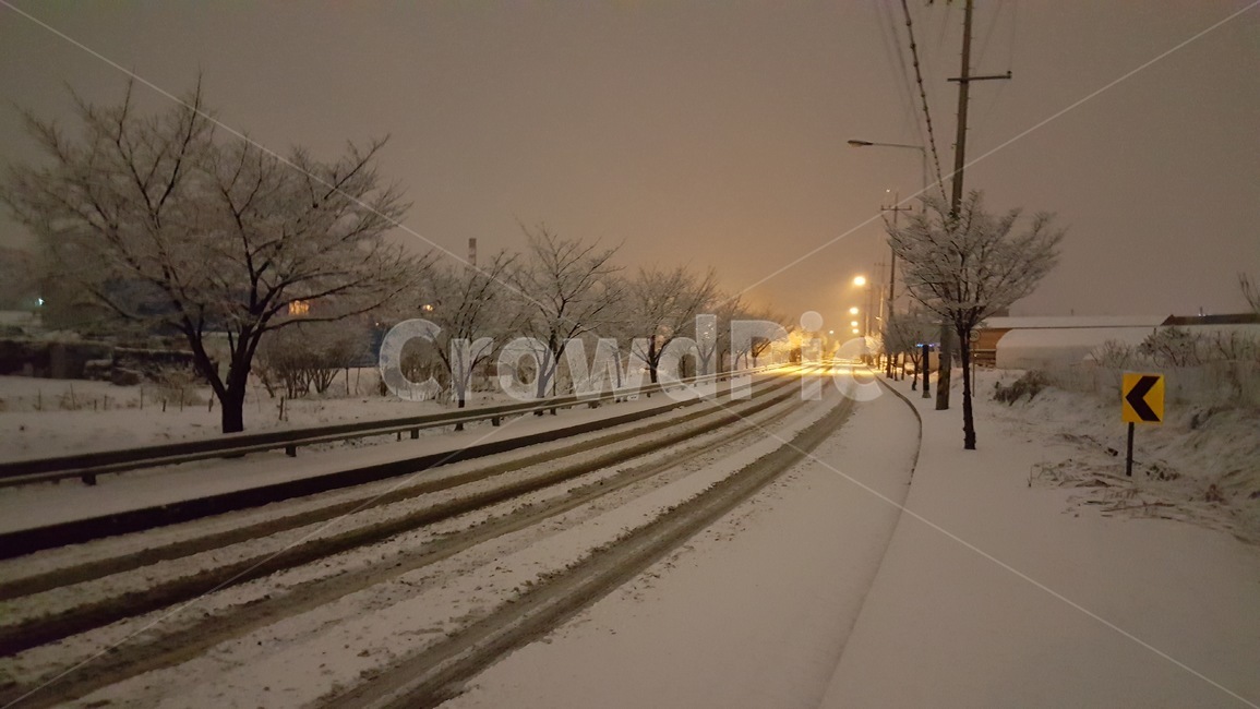 snow,눈,겨울,winter,자연,nature,겨울,계절,winter,season