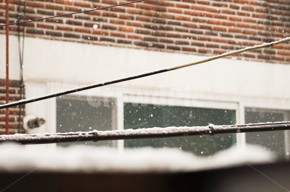 snowyday,whitecolor,red brick,winter,snowing,redbrick,snowy day,white,season,brick,snowy,nature,emotional,white snow,snow