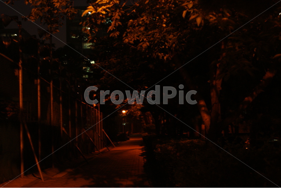 거리,밤,나무,아파트,아파트단지,골목,산책로,야경,밤,풍경,nightscape,night,landscape