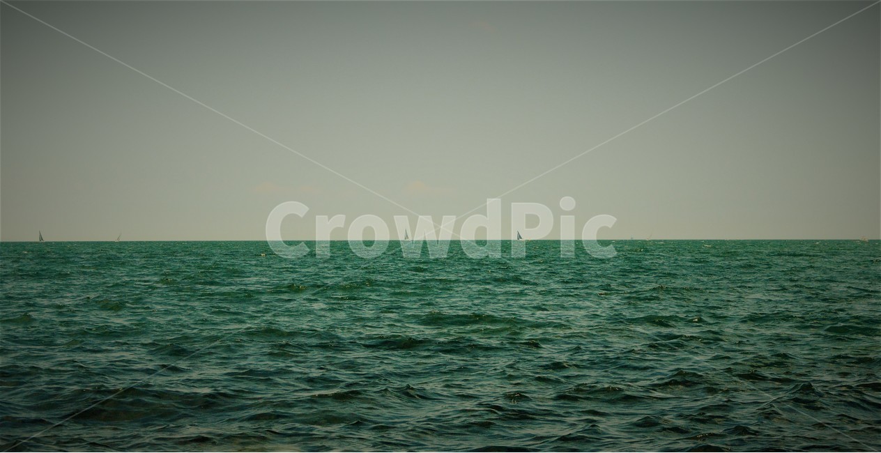 호주,바다,요트,배,여름,자연,풍경,nature,landscape,vehicle,차량,watercraft,선박,transportation,교통