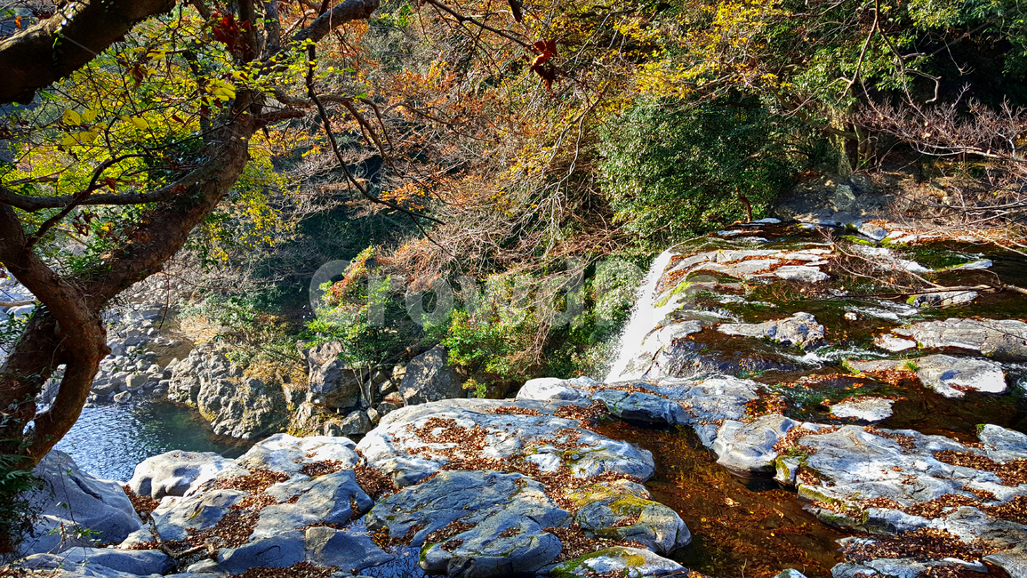 천제연폭포,폭포,천제연,자연,nature,water,물,자연,풍경,nature,landscape