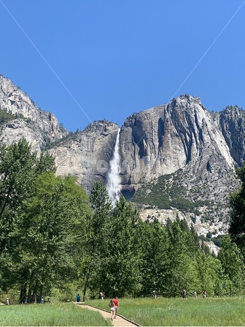 요세미티,yosemite,yosemitefalls,요세미티폭포,대자연