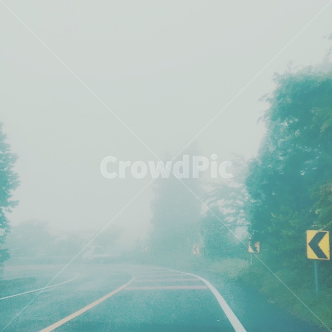 안개,길,안개속,도로,새벽안개,자연,풍경,nature,landscape,weather,날씨,outdoors,옥외