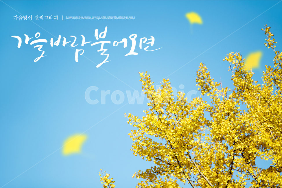 은행나무,하늘,캘리그라피,손글씨,가을,배경,가을,계절,fall,autumn,season,캘리그라피,손글씨,calligraphy