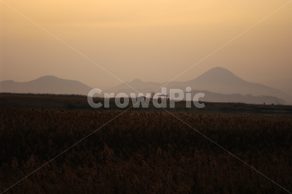 순천만,일몰,노을,풍경,갈대밭,강,하늘,그림자,자연,풍경,nature,landscape,outdoors,옥외