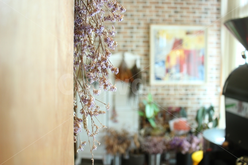 대전,카페,꽃,인테리어,로스터리,식물,자연,plants,nature,인테리어,실내디자인,interior design,꽃,flower