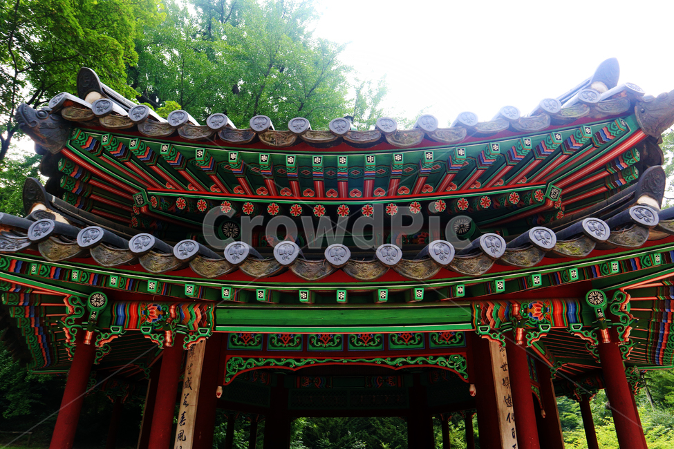 궁,궁궐,창덕궁,서울,관광,한옥,단청,오방색,문화재,한국문화재,유형문화재,한국전통,한국문화,한국랜드마크,한국관광지,한국명소,건축물,건물외관,후원,기와,하늘,화창한,나무,녹색,오래된,전통,전통무늬,창덕궁후원