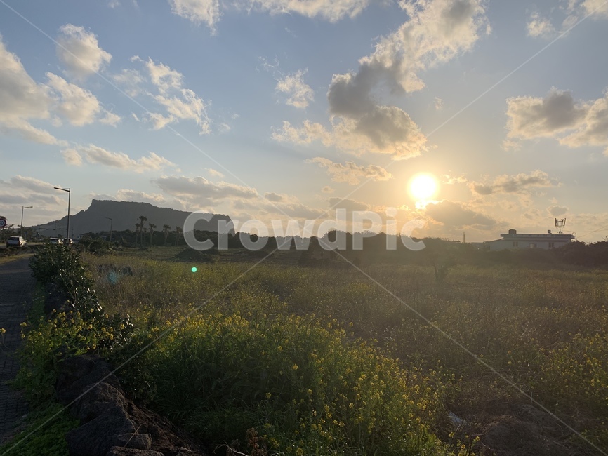 노을,제주도,성산일출봉,하늘,구름,유채꽃,자연,빛