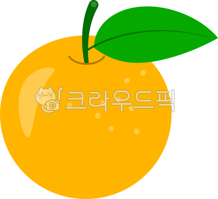 배, pear, 가을과일, 가을열매, fruit, 사진,이미지,일러스트,캘리그라피 - 안갱작가