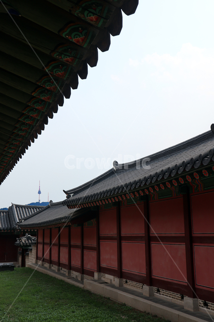 창덕궁,후원,한국의궁,세계문화유산,문화유산,한국건축물,건축외관,과거,오래된,궁궐,서울,관광,비원,한국랜드마크,랜드마크,한국관광지,한국명소,유형문화재,처마,지붕,기와,검정,한국의미,한국전통,조선시대,기와집,남산타워,하늘,잔디,녹색,벽