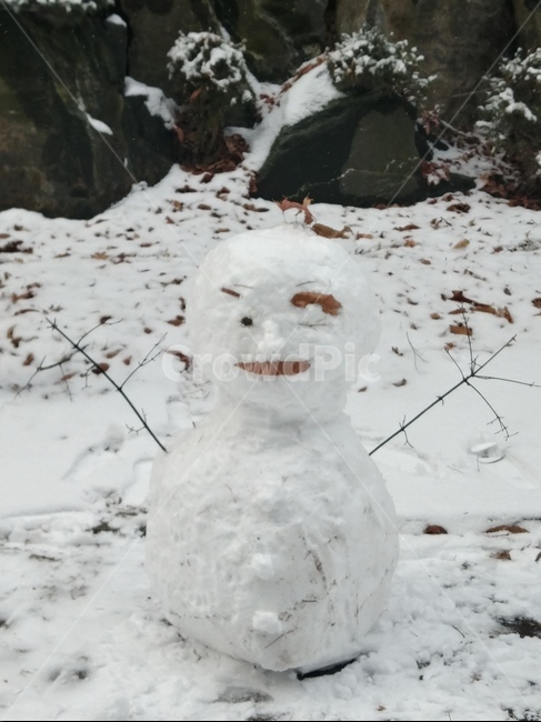 겨울,눈사람,snowman,snow,눈,winter,nature,자연,outdoors