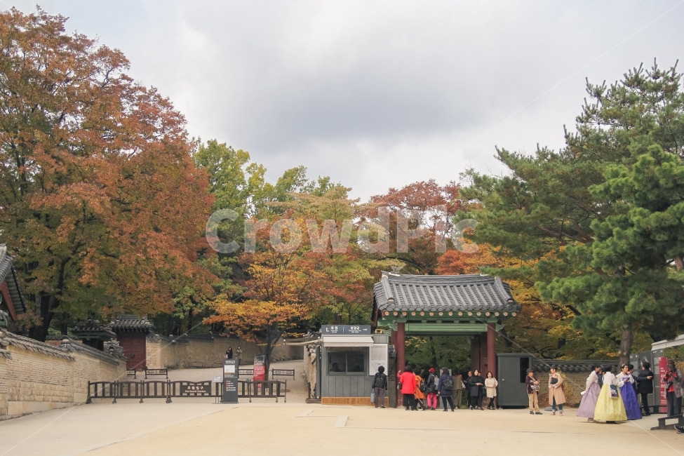 한국전통,한국문화,창덕궁,koreantraditional,koreanculture,가을,여행,전통문화,단풍,감성사진,여행객,한국전통,한국문화,korean traditional,korean culture,랜드마크,landmark,tourist attraction,한국랜드마크,한국관광지,한국명소,korea landmark,korea tourist attraction,사람들,대중,군중,other people,crowd